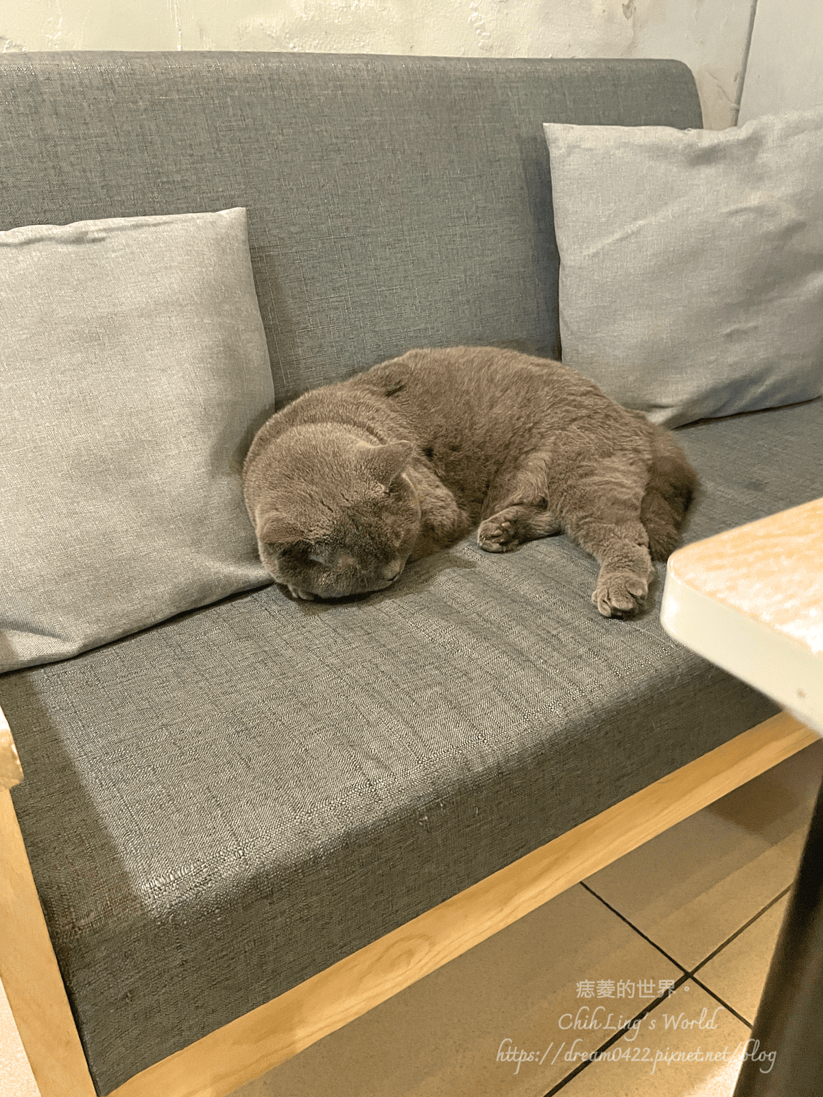 20251113-dampy 20251113-dampy