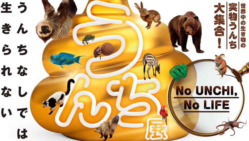 20251113-naswx 20251113-naswx