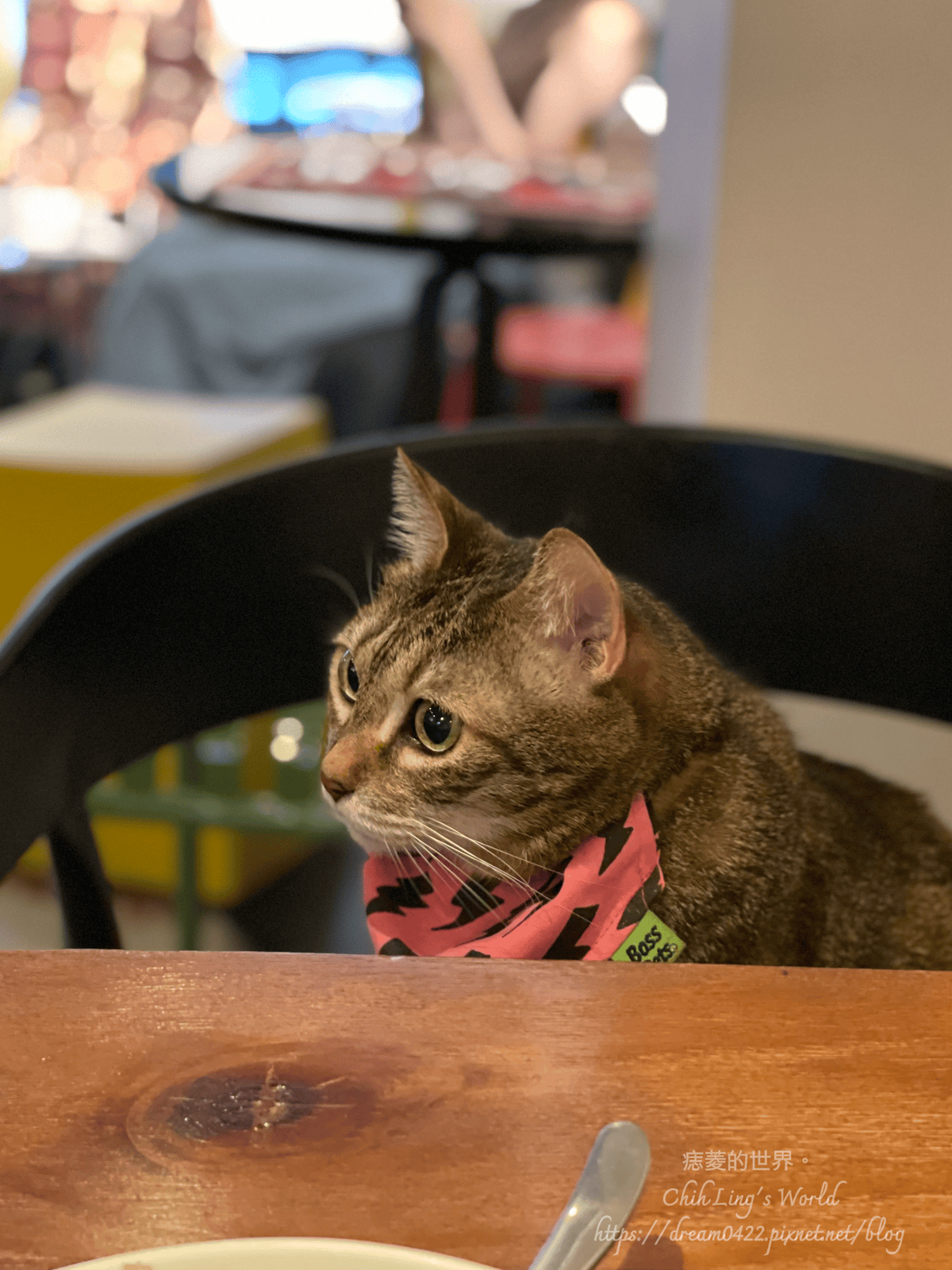 20251113-qt8yx 20251113-qt8yx