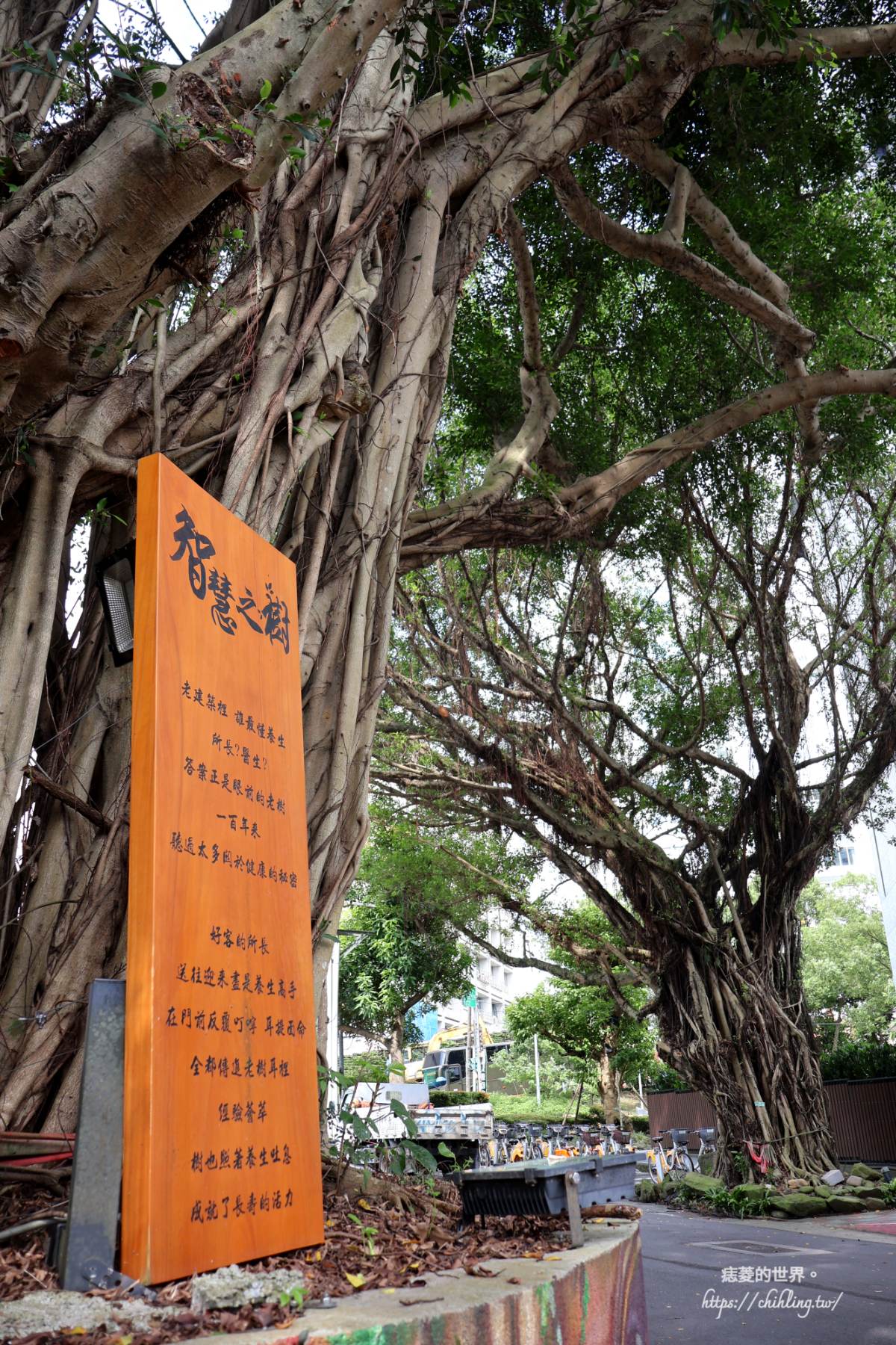 【台北景點推薦】靜心苑｜原松山療養院一館&二館介紹，走進日式宿舍歷史建築，品味養生套餐、夏日手作課程等你來體驗！